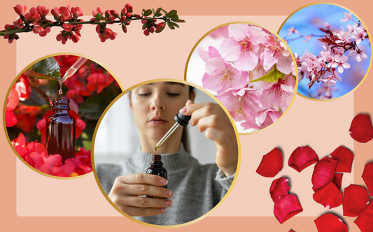 Fleurs de Bach mode d'emploi