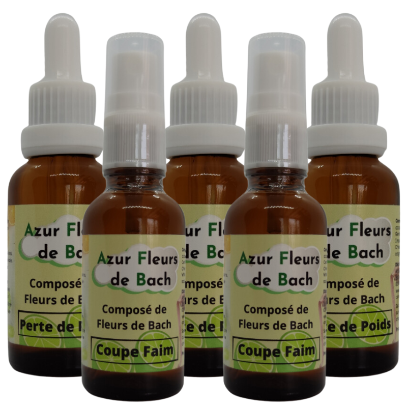 LOT MINCEUR<br>2 Perte de Poids<br>+ 2 Coupe Faim<br>+ 1 Perte de Poids Offert