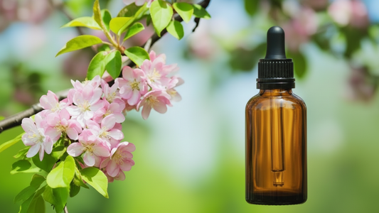 Crab Apple (Pommier Sauvage) : la Fleur de Bach de l’acceptation de soi