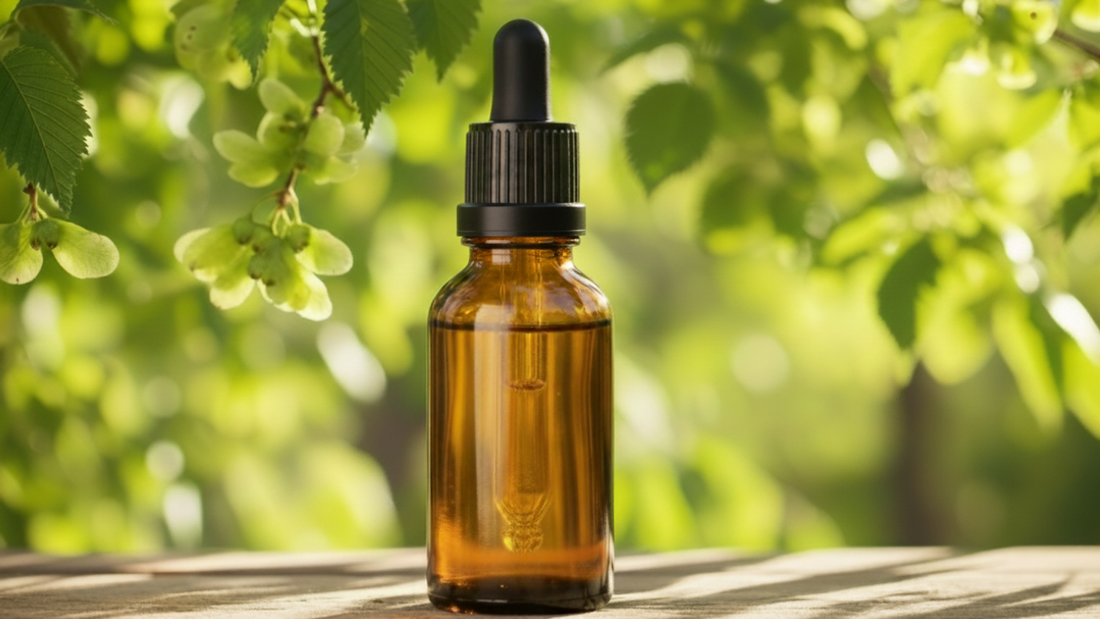 Elm (Orme) : la Fleur de Bach du dépassement de soi et de la confiance face aux responsabilités