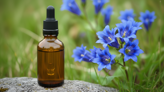 Gentian (Gentiane) : la Fleur de Bach de la confiance et du courage face aux difficultés