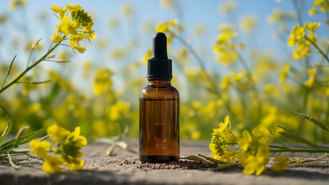 Mustard (Moutarde) : la Fleur de Bach de la joie retrouvée