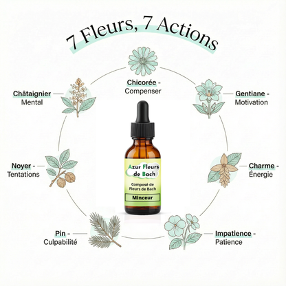 MINCEUR | 3 flacons de 30ml | Mélange de 7 Fleurs de Bach