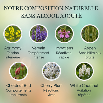 Calme Aboiements | Fleurs de Bach sans alcool ajouté