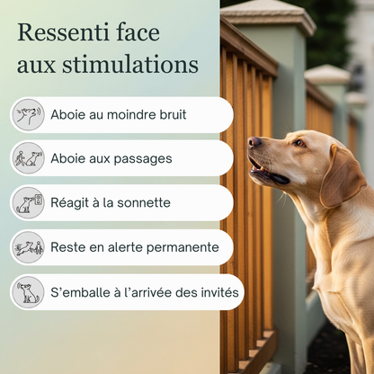 Calme Aboiements | Fleurs de Bach sans alcool ajouté