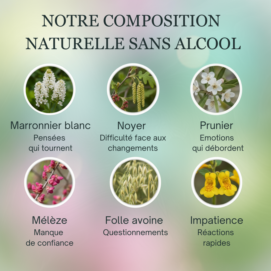 Ados Équilibre | Fleurs de Bach sans alcool