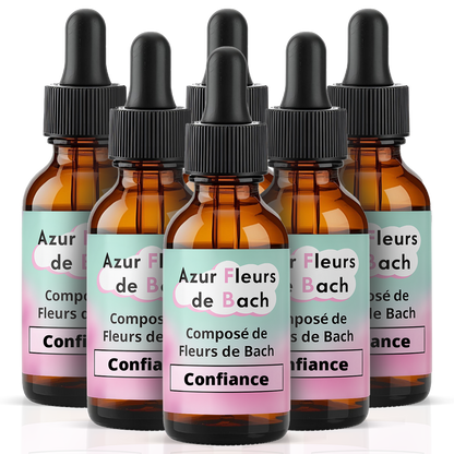 Confiance | Assurance & Estime de soi | Fleurs de Bach