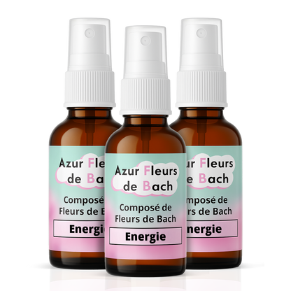 Énergie | Élan & Vitalité | Fleurs de Bach