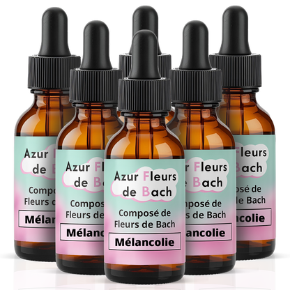 Déprime Mélancolie | Fleurs de Bach