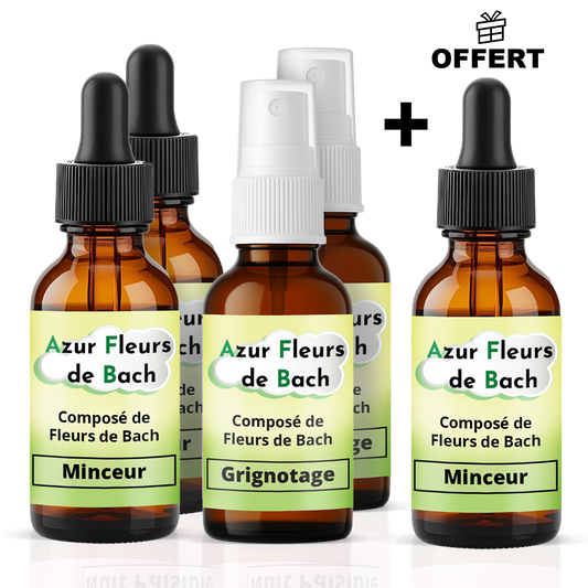 Lot Minceur | 2 Grignotage + 3 Minceur dont 1 Offert | Fleurs de Bach