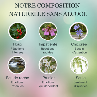 Colère Enfant | Fleurs de Bach sans alcool