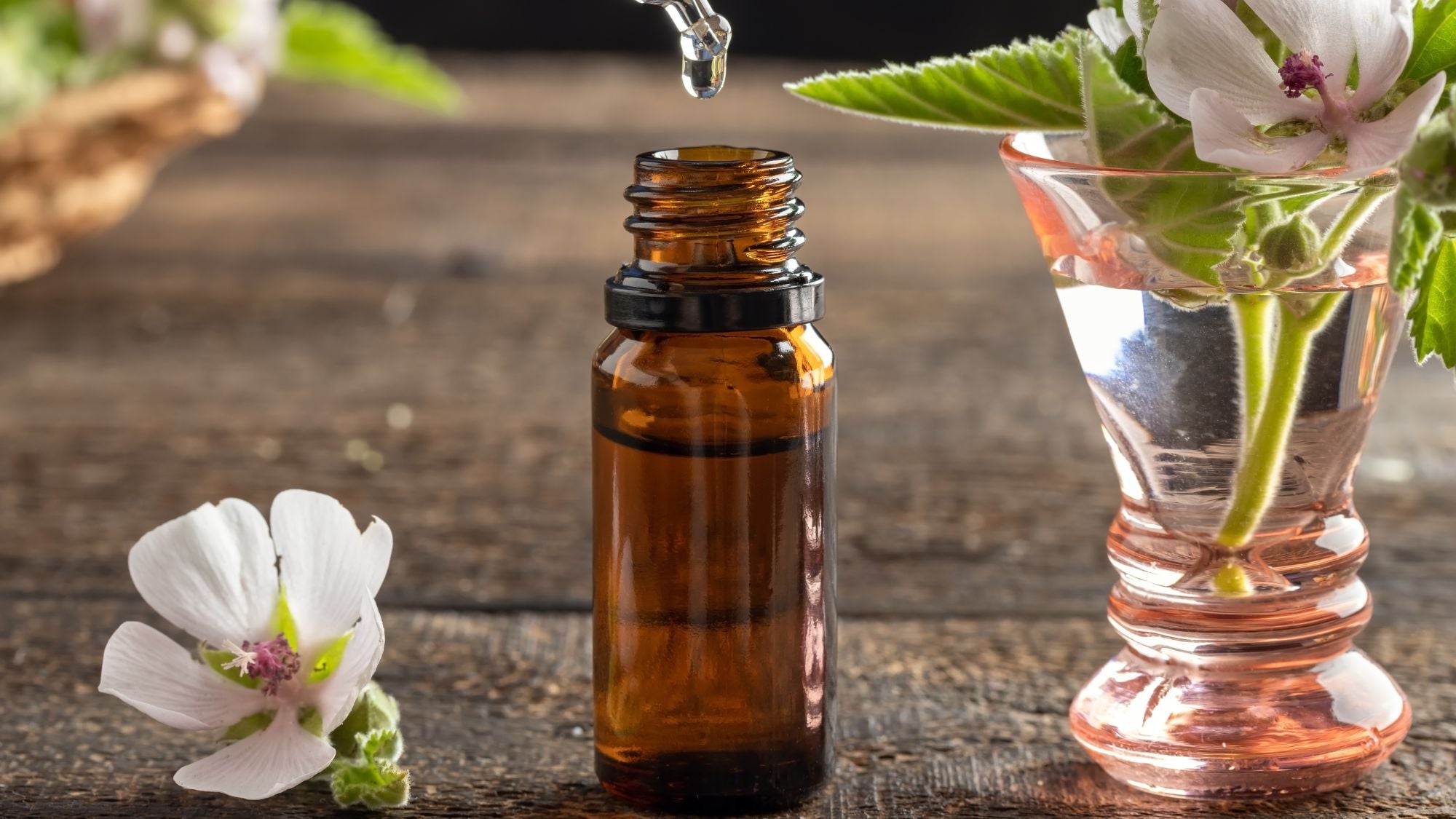 Azur Fleurs de Bach - Composés de Fleurs de bach Bio - 100% naturels