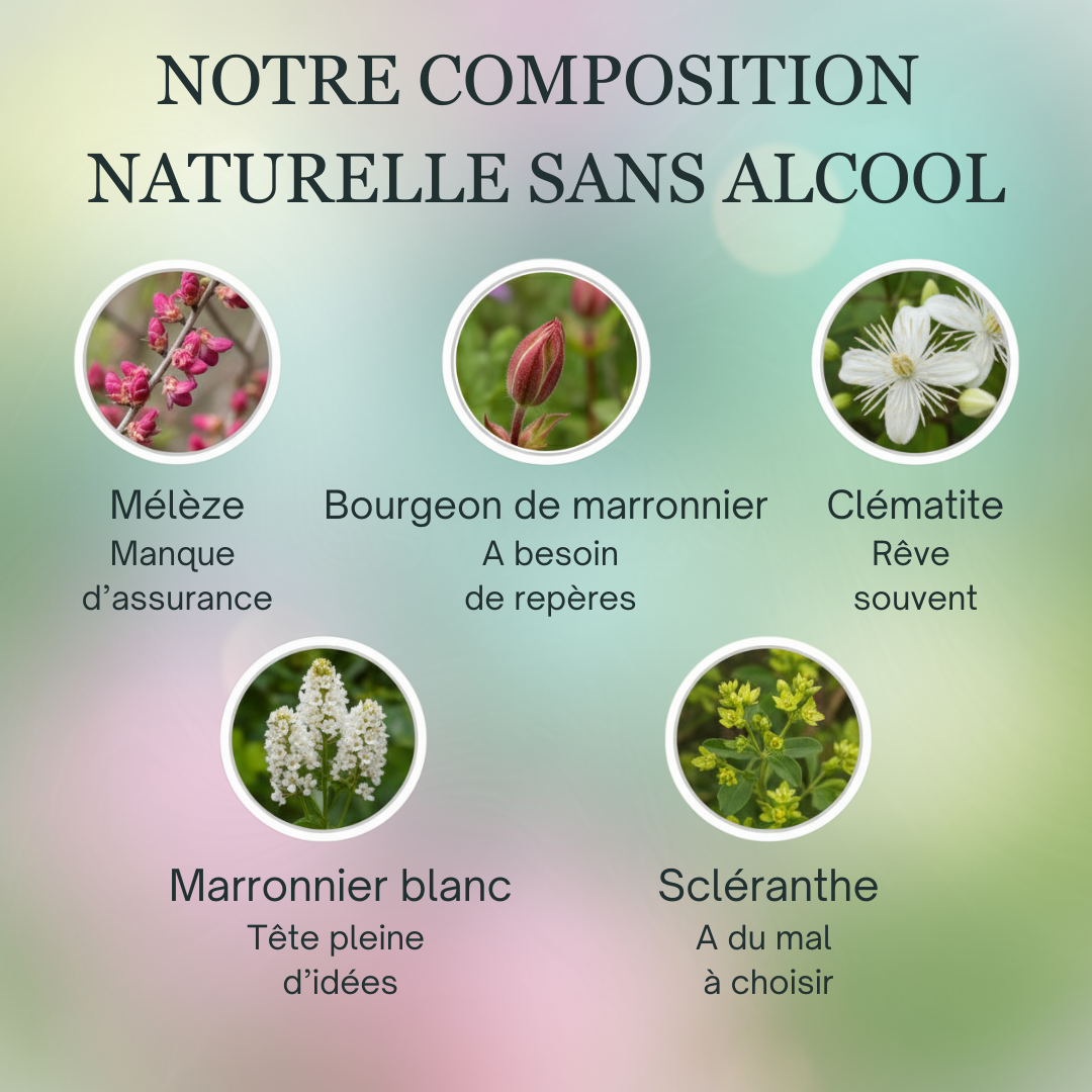 Concentration Enfant | Fleurs de Bach sans alcool