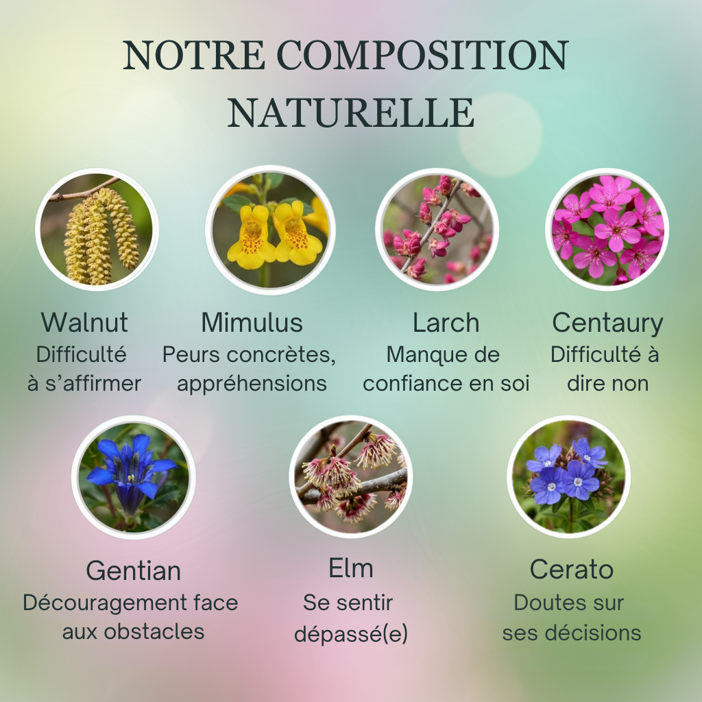 Confiance | Assurance & Estime de soi | Fleurs de Bach
