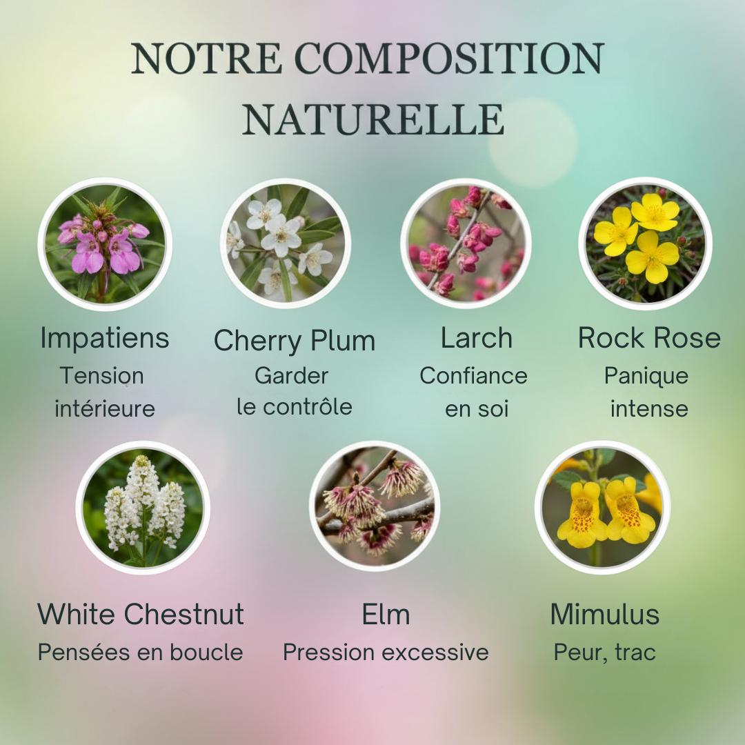 Examens & Entretiens | Fleurs de Bach