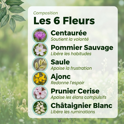 Grignotage émotionnel | Fleurs de Bach | Spray 30ml