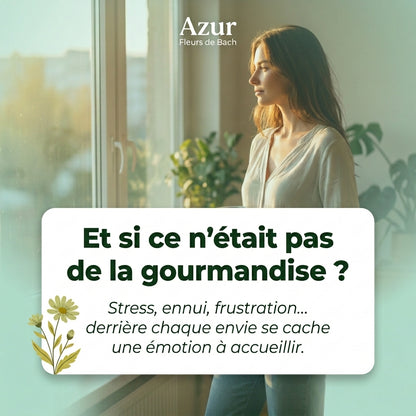 Grignotage émotionnel | Fleurs de Bach | Spray 30ml