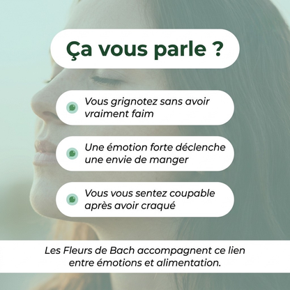 Grignotage émotionnel | Fleurs de Bach | Spray 30ml