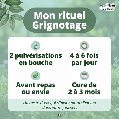 Grignotage émotionnel | Fleurs de Bach | Spray 30ml