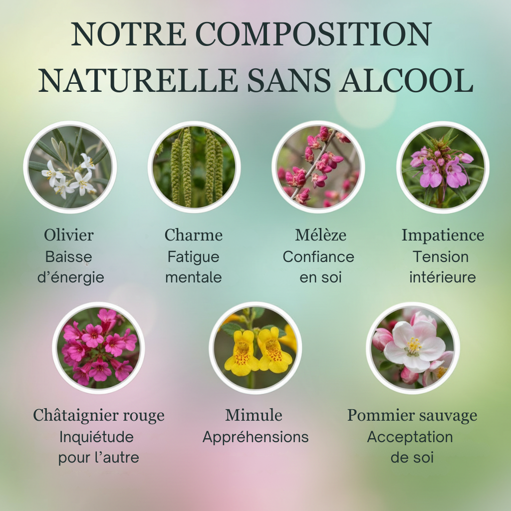 Grossesse | Équilibre & Sérénité intérieure | Fleurs de Bach Sans Alcool