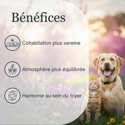 Harmonie entre animaux | Fleurs de Bach sans alcool ajouté