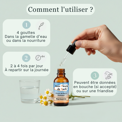 Harmonie entre animaux | Fleurs de Bach sans alcool ajouté