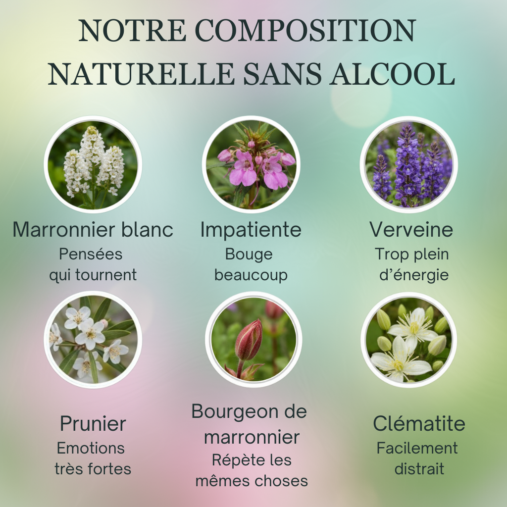 Hyperactivité Enfant | Fleurs de Bach sans alcool