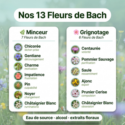 Lot Minceur | 2 Grignotage + 3 Minceur dont 1 Offert | Fleurs de Bach
