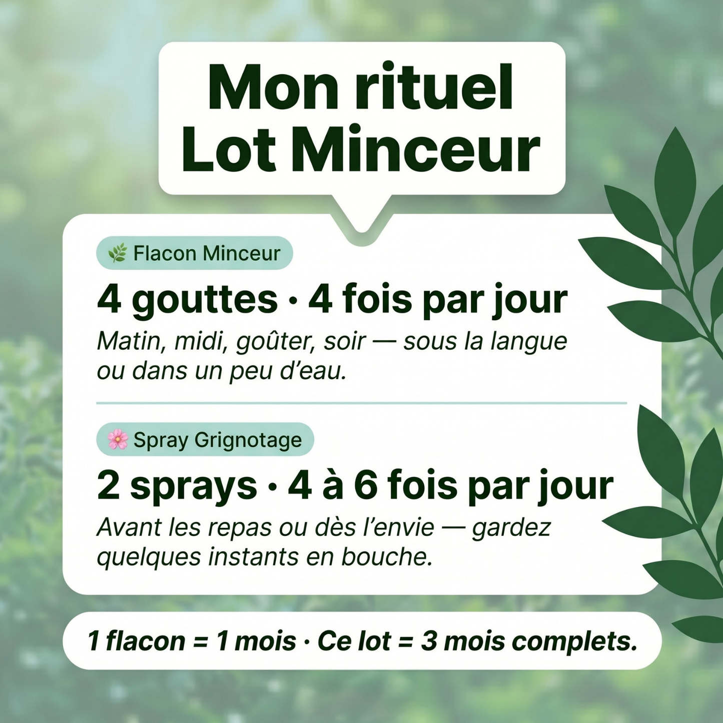 Lot Minceur | 2 Grignotage + 3 Minceur dont 1 Offert | Fleurs de Bach