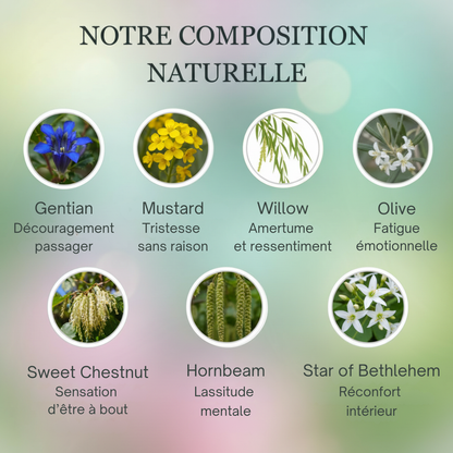 -16% Mélancolie | Fleurs de Bach