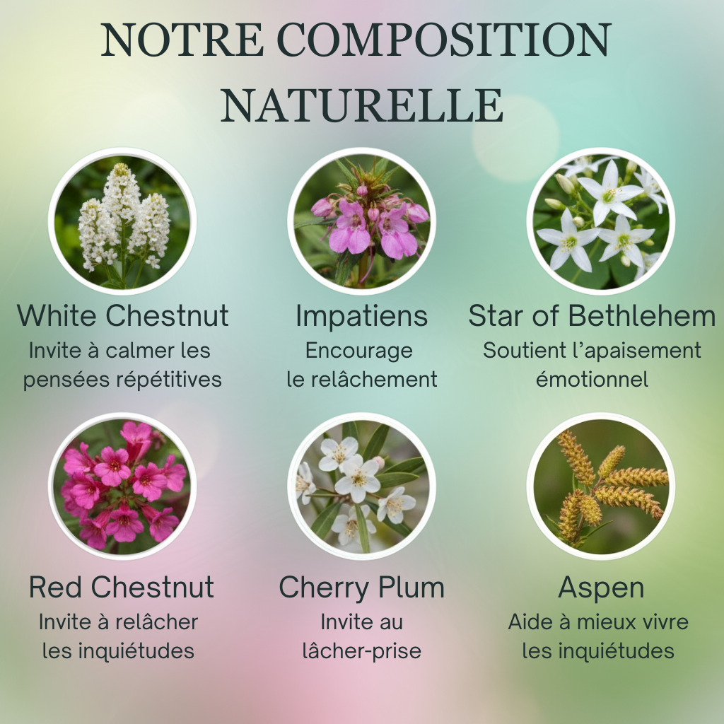 Sommeil Nuit paisible | Fleurs de Bach