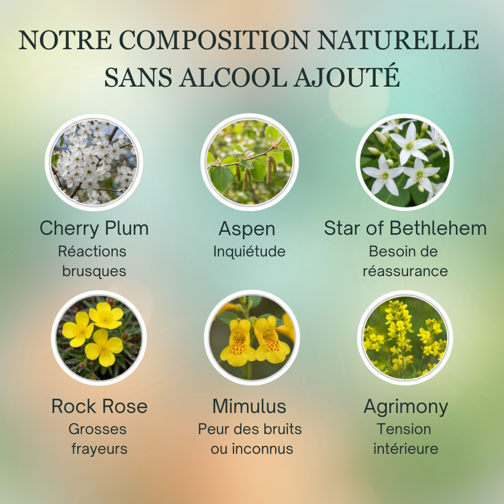 Peurs Animaux | Fleurs de Bach sans alcool ajouté