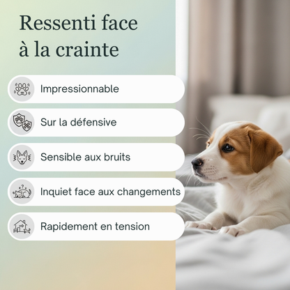 Peurs Animaux | Fleurs de Bach sans alcool ajouté