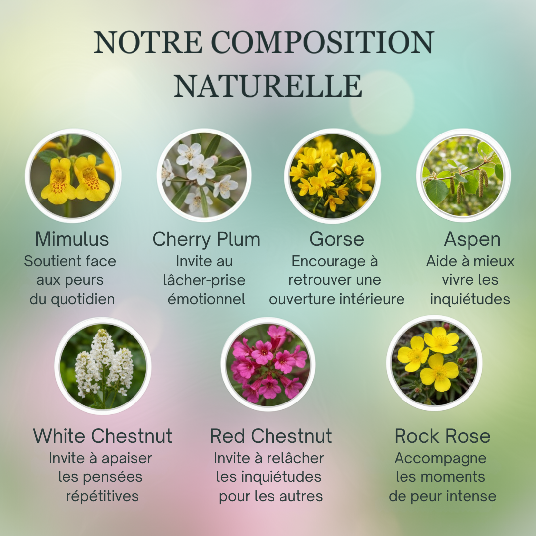 Peurs | Courage & Force intérieure | Fleurs de Bach