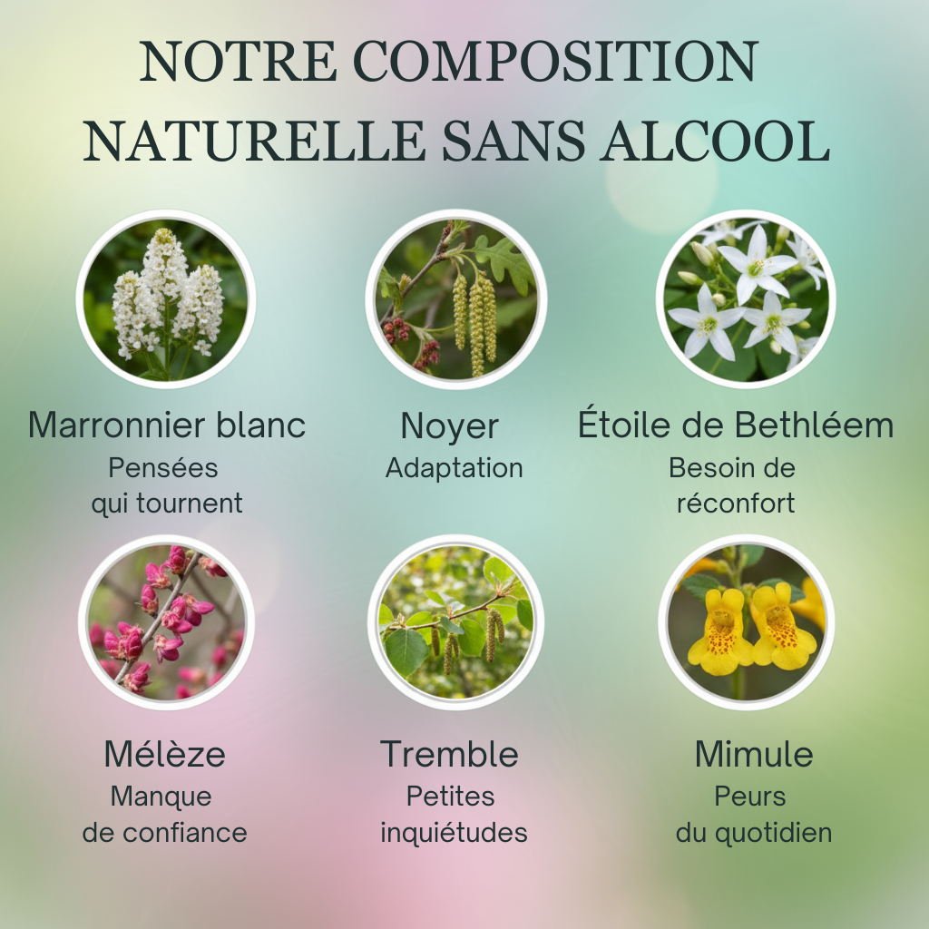 Pipi au lit | Fleurs de Bach sans alcool