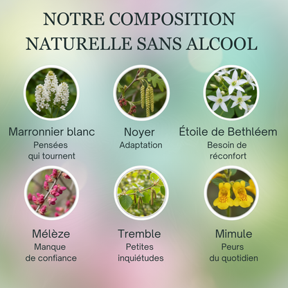 Pipi au lit | Fleurs de Bach sans alcool