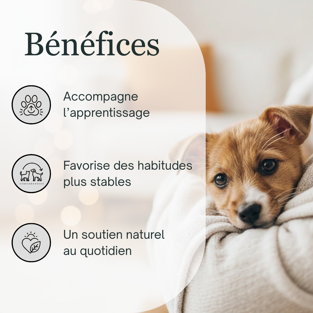 Habitudes & Propreté | Fleurs de Bach sans alcool ajouté