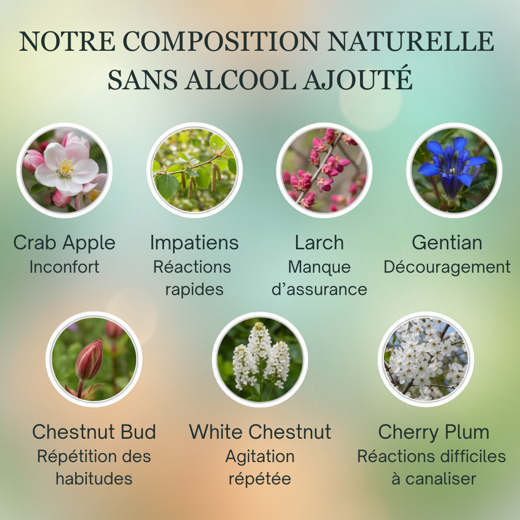 Habitudes & Propreté | Fleurs de Bach sans alcool ajouté