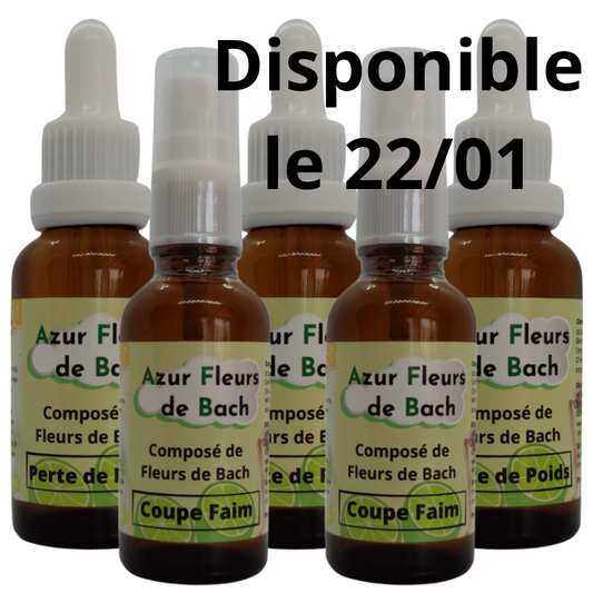 LOT MINCEUR<br>2 Perte de Poids<br>+ 2 Coupe Faim<br>+ 1 Perte de Poids Offert