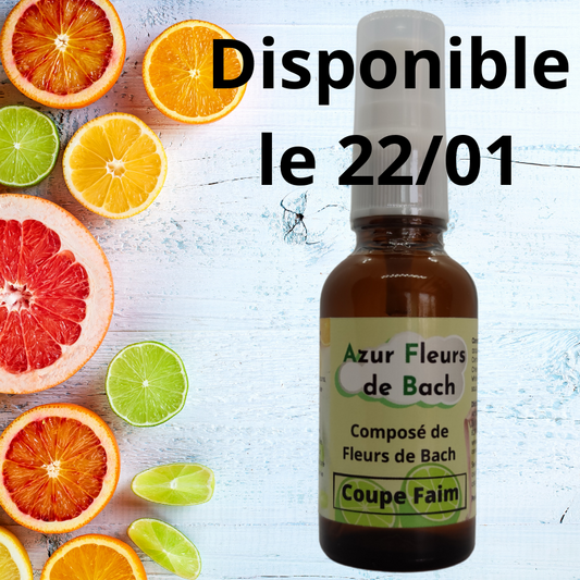 COUPE FAIM | Fleurs de Bach | Spray de 30ml