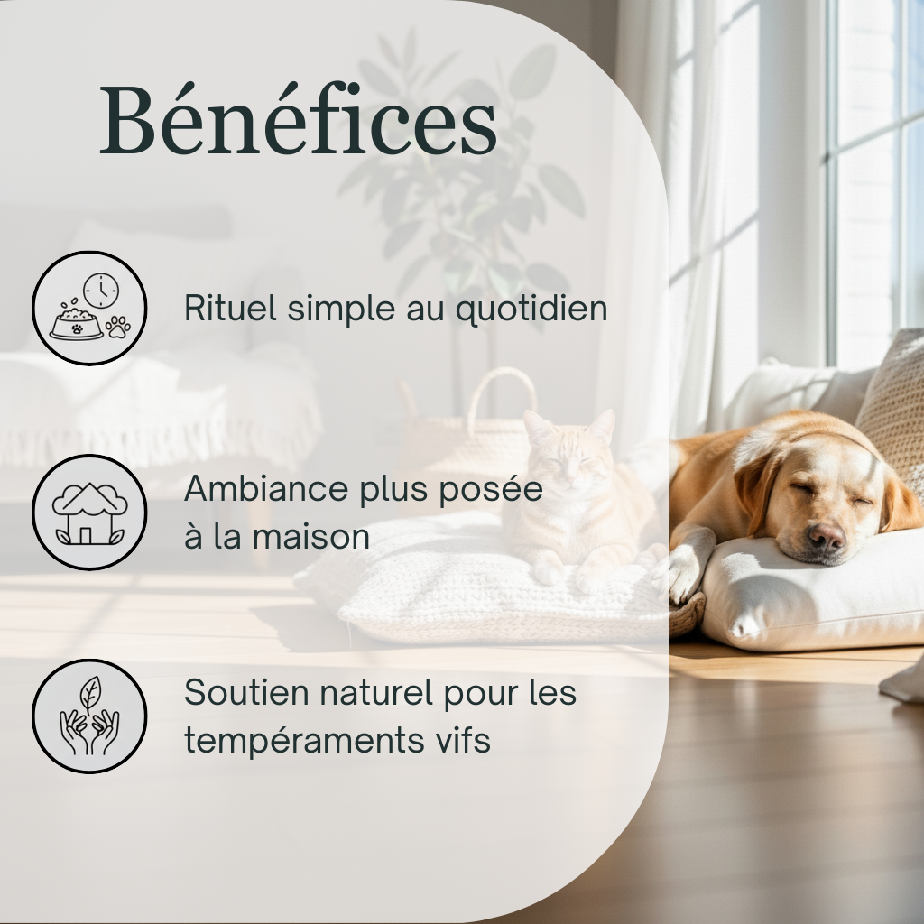 Sérénité Animaux Stressés  | Fleurs de Bach sans alcool ajouté