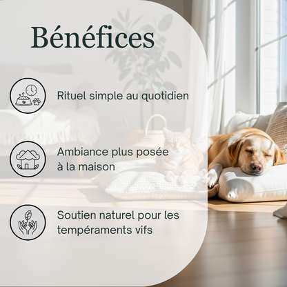 Sérénité Animaux Stressés  | Fleurs de Bach sans alcool ajouté