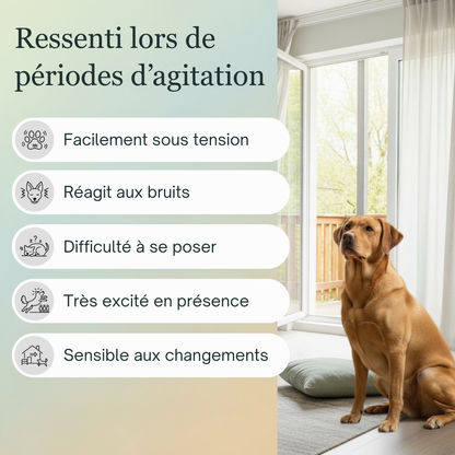 Sérénité Animaux Stressés  | Fleurs de Bach sans alcool ajouté