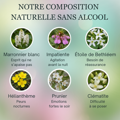 Sommeil Paisible Enfant | Fleurs de Bach sans alcool