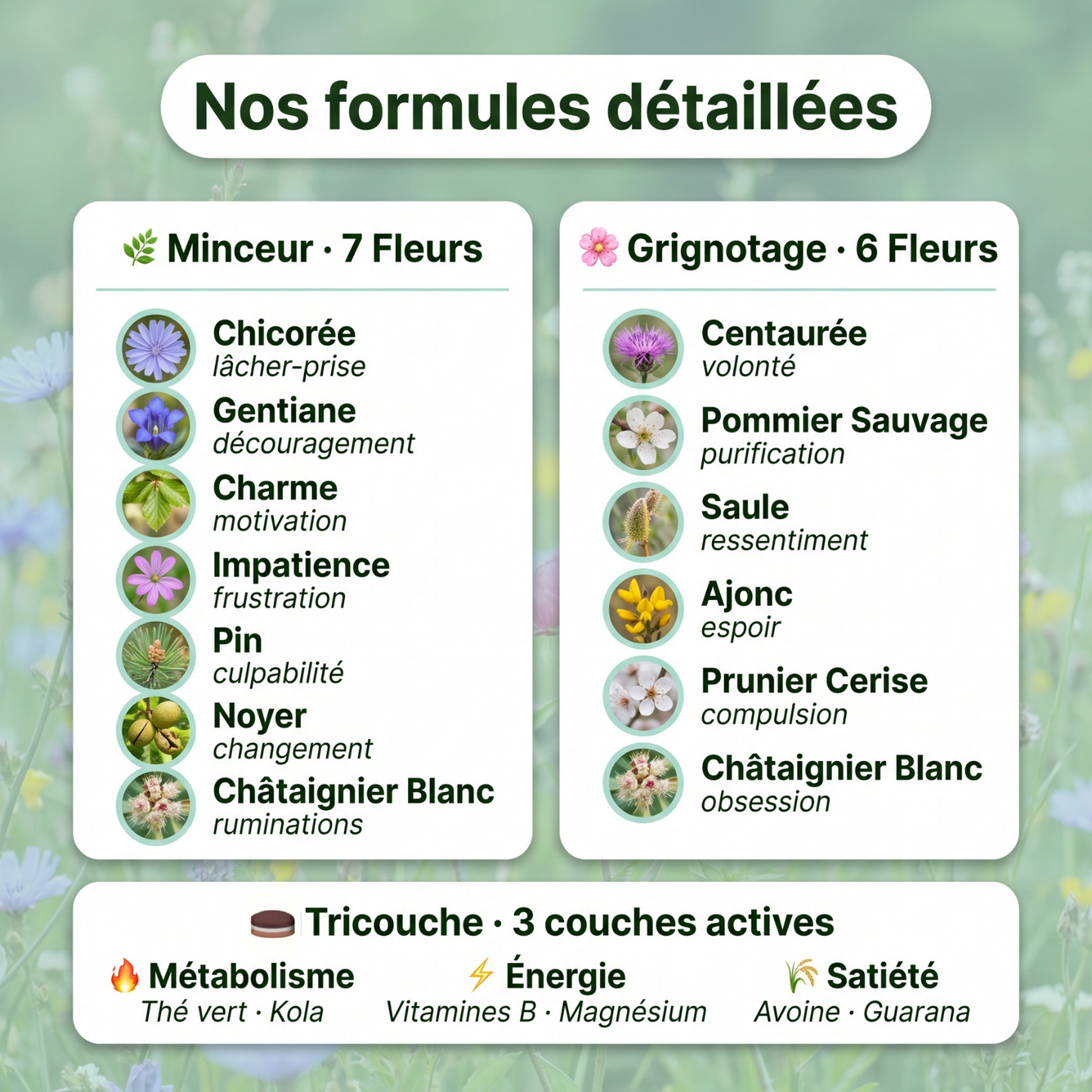 Trio Minceur | Minceur + Grignotage + Tricouche + Hypnose Offerte