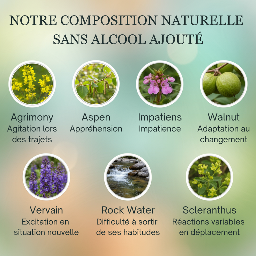 Voyage animaux | Fleurs de Bach sans alcool ajouté