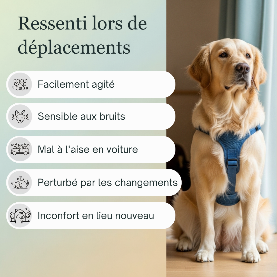 Voyage animaux | Fleurs de Bach sans alcool ajouté