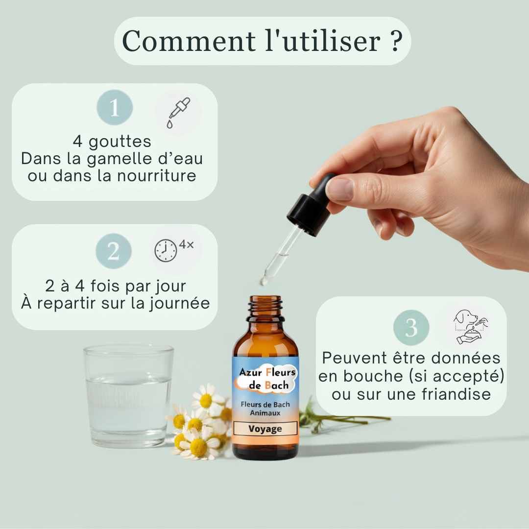 Voyage animaux | Fleurs de Bach sans alcool ajouté
